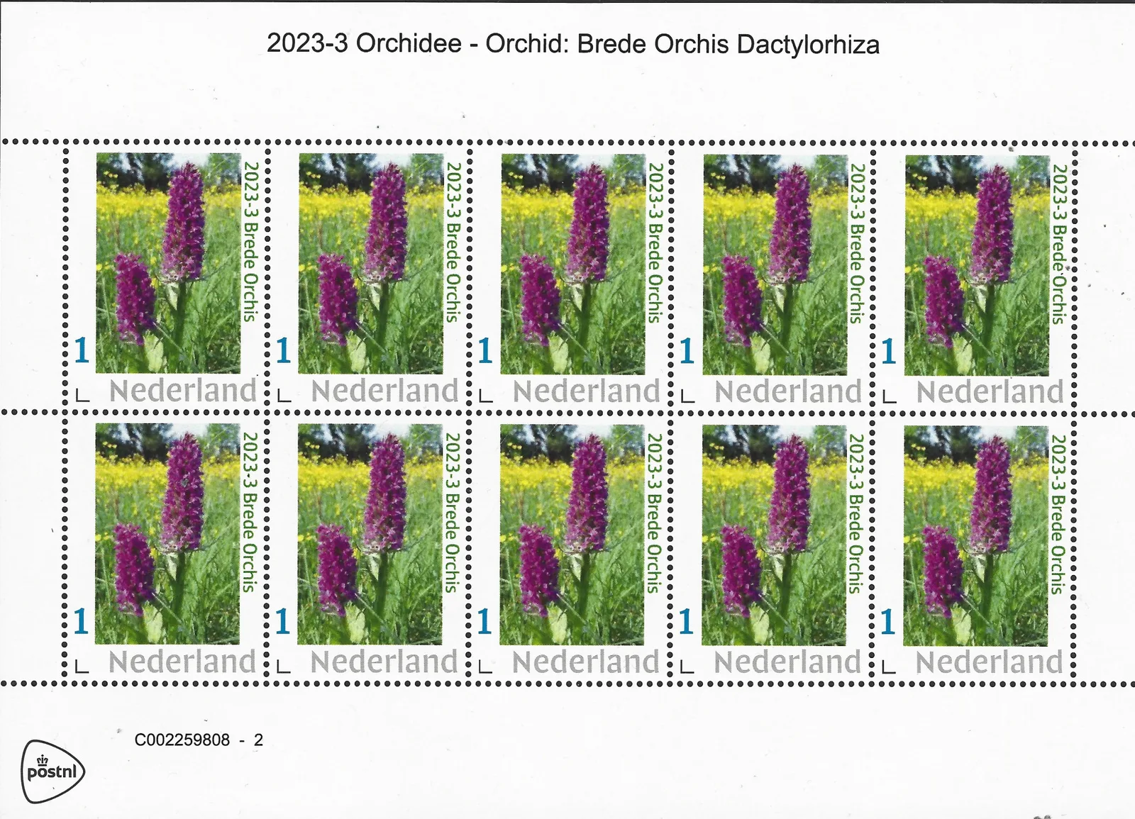 Pays-Bas 2023-3 Orchidée Orchis large Orchis Dactylorhiza vel-feuillet neuf/mnh