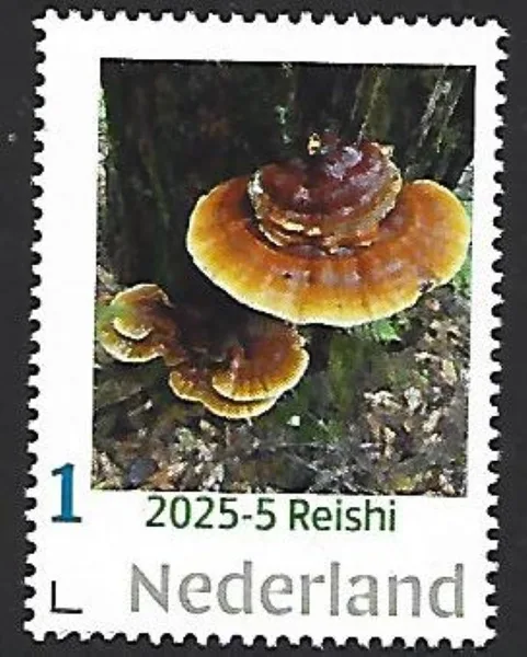 Nederland 2025-5 Paddenstoel Mushroom Reishi postfris/mnh