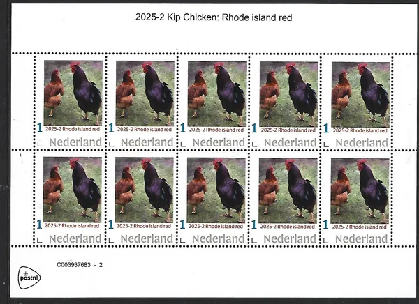 Netherlands 2025-2 Chicken: Rhode Islands Red sheetlet MNH