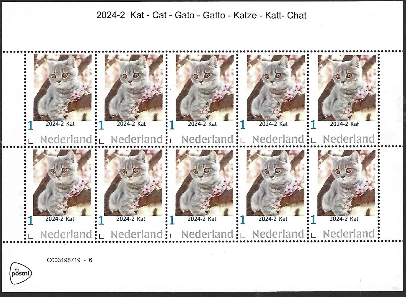 Niederlande 2024-2 v Kat - Cat - Gato Gatto Katze Katt Chat Markenheftchen postfrisch/mnh