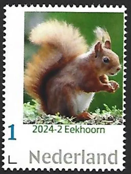 Nederland 2024-2 Natuur Nature: Eekhoorn Squirrel postfris/mnh