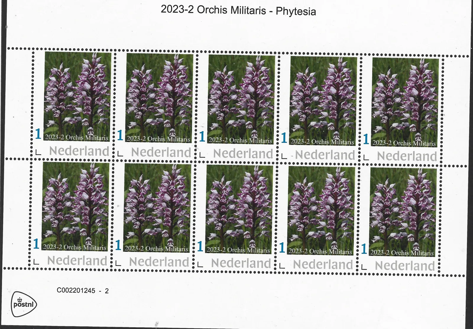 Pays-Bas 2023-2 Orchidée orchid : Orchis Militaris - Feuillet Phytesia neuf/non dentelé