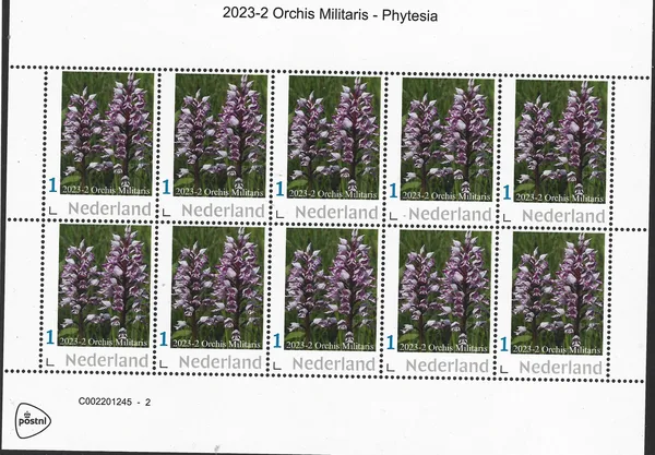 Netherlands 2023-2 Orchid: Orchis Militaris - Phytesia vel-sheet MNH
