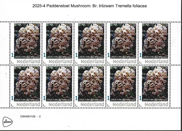 Nederland 2025-4 Paddenstoel Mushroom: Bruine inktzwam sheetlet posfris/mnh