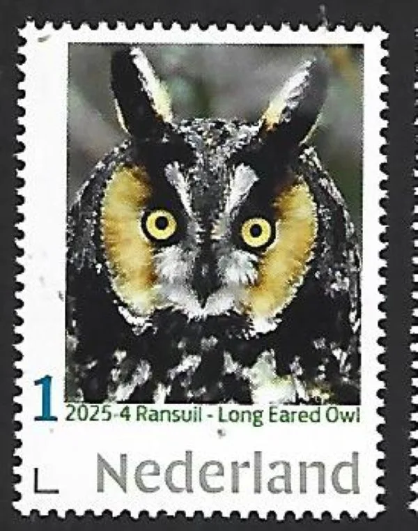 Netherlands 2025-4 Long Eared Owl MNH