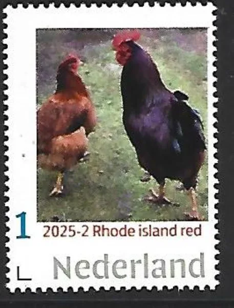 Nederland 2025-2 Kip Chicken: Rhode islands red postfris/mnh