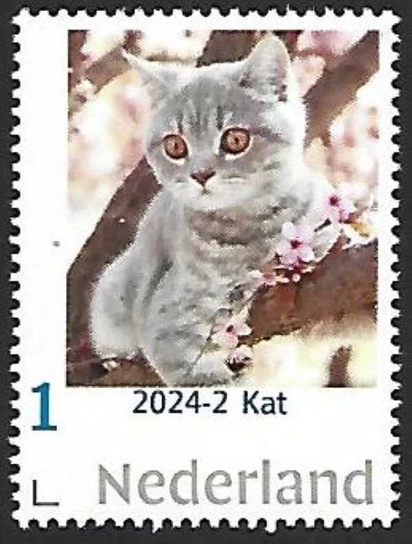 Pays-Bas 2024-2 v Chat - Cat - Gato Gatto Katze Katt neuf/mnh