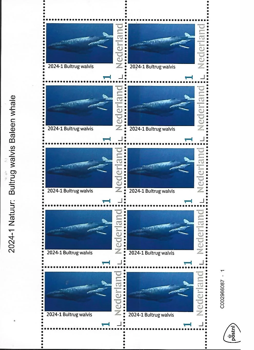 Pays-Bas 2024-1 Nature Baleine à bosse feuillet neuf