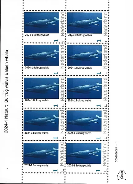 Netherlands 2024-1 Nature Humpback whale sheetlet MNH