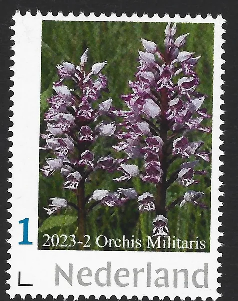 Netherlands 2023-2 Orchid: Orchis Militaris - Phytesia MNH