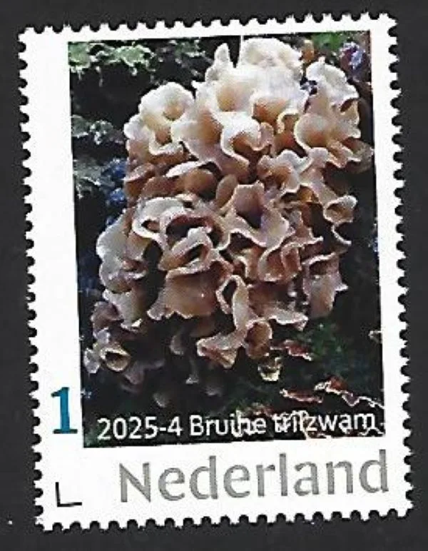 Netherlands 2025-4 Mushroom Brown Ink Cap: MNH