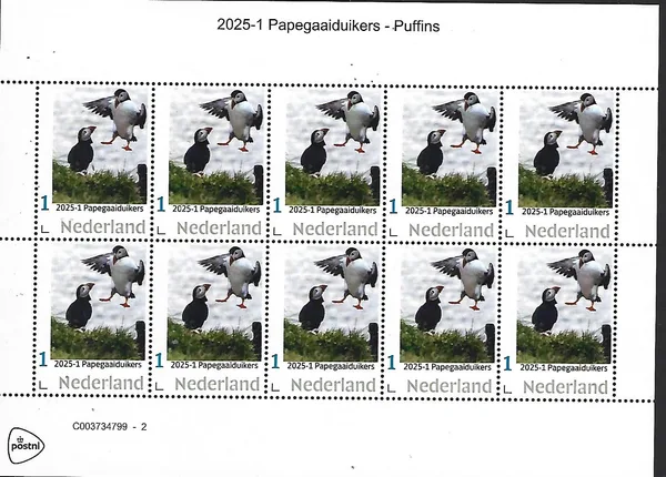 Nederland 2025-1 Papegaaiduiker Puffin sheetlet postfris/mnh