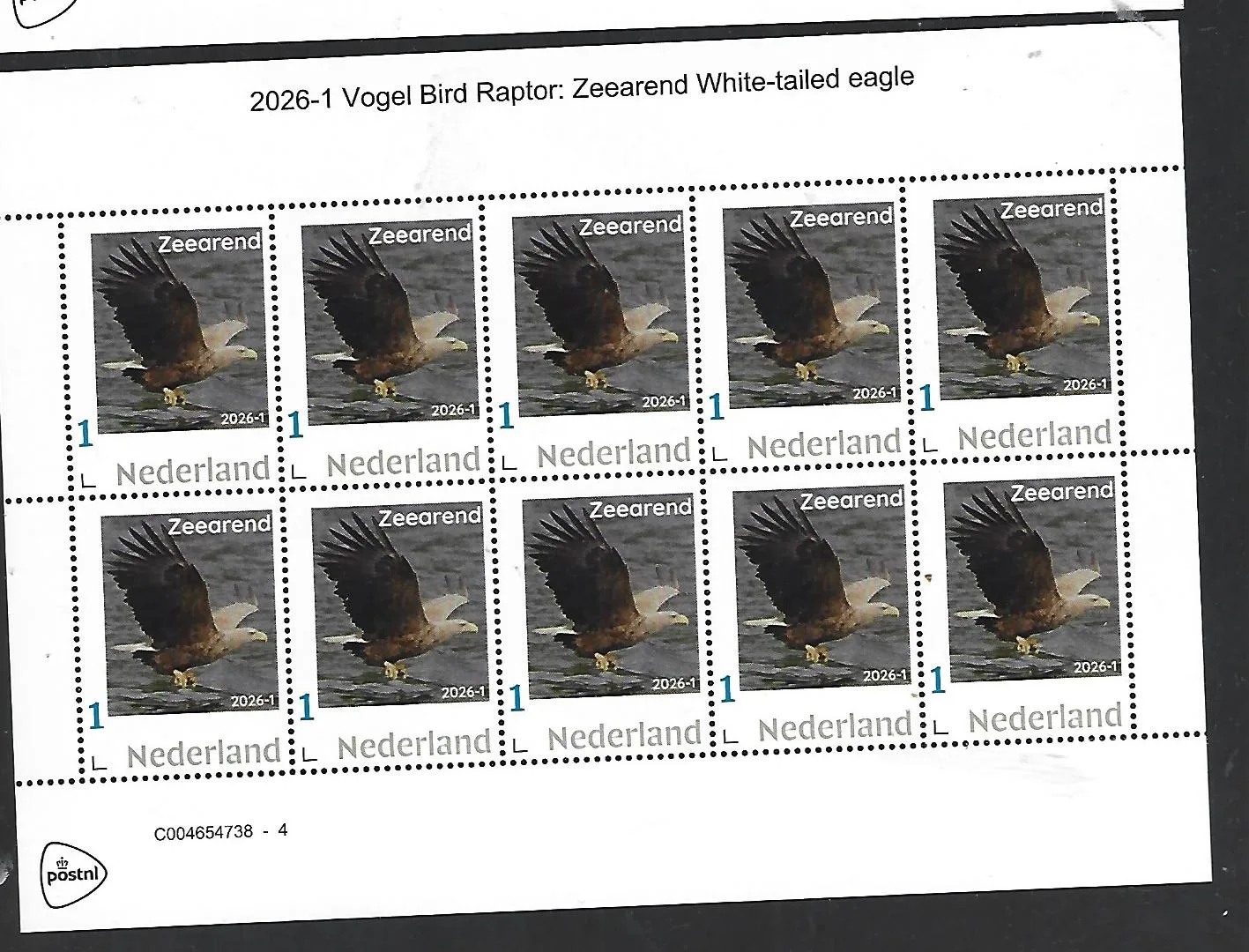 Netherlands 2026-1 Bird Raptor: White-tailed eagle MNH