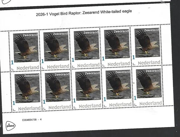 Netherlands 2026-1 Bird Raptor: White-tailed eagle MNH