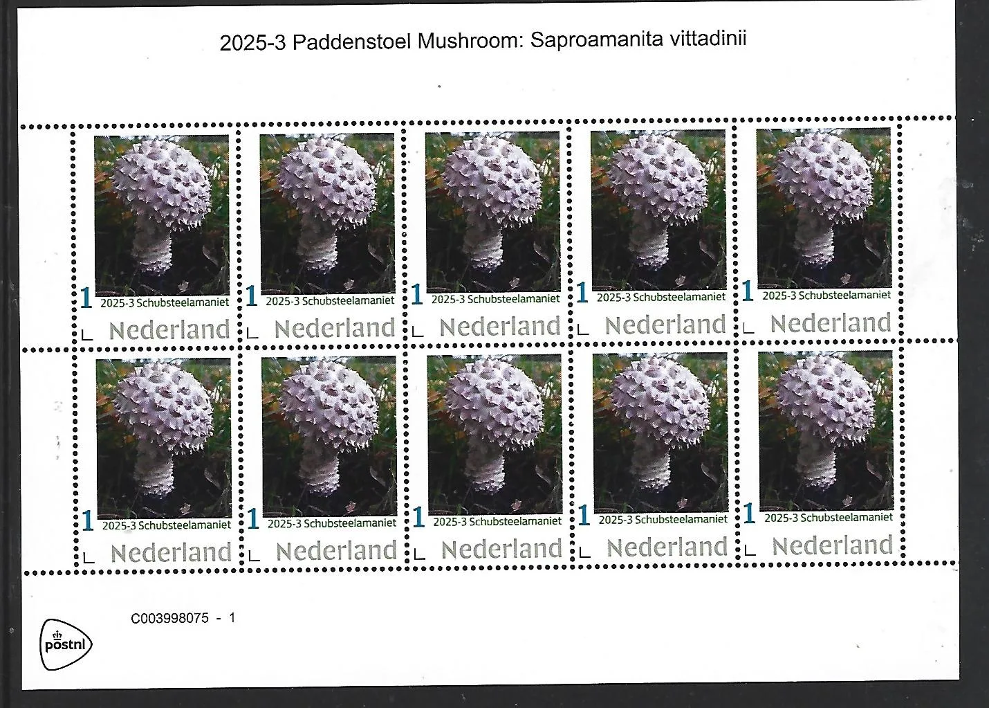 Nederland 2025-3 Paddenstoel Mushroom: Schubsteelamaniet sheetlet postfris/mnh