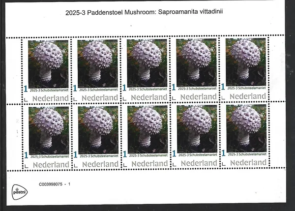 Netherlands 2025-3 Mushroom: Scutiger Amanita sheetlet MNH