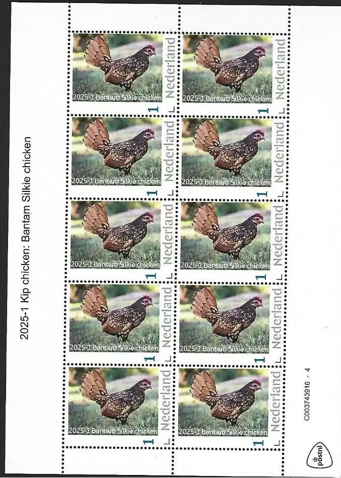 Netherlands 2025-1 Chicken: Bantam Silkie chicken sheetlet MNH