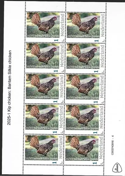 Nederland 2025-1 Kip chicken: Bantam Silkie chicken sheetlet postfris/mnh