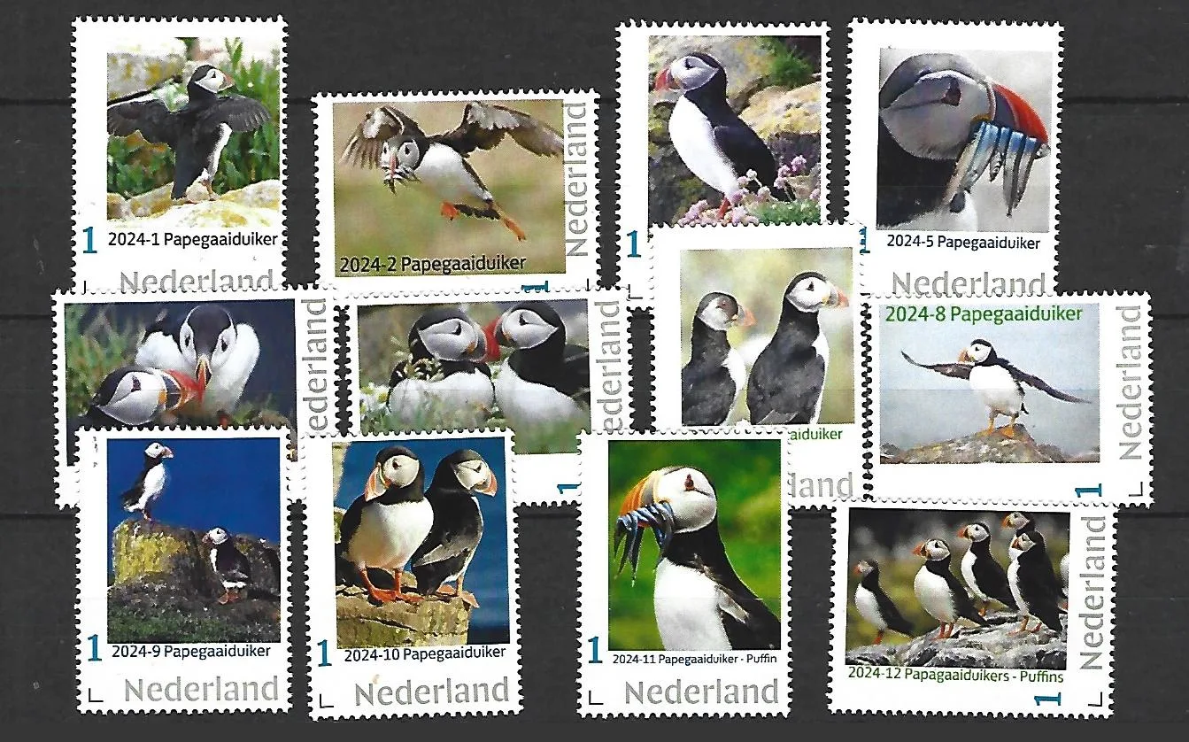 Netherlands 2024 Puffin: yearset MNH