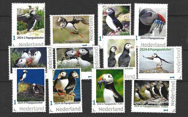 Netherlands 2024 Puffin: yearset MNH