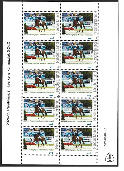 Nederland 2024-22 Paralympics D Haerkens kür op muziek Dressage sheet postris/mnh