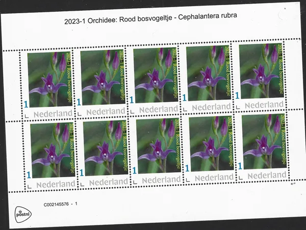 Netherlands 2023-1 Orchid - Red Helleborine Cephalantera rubra vel-sheetlet MNH