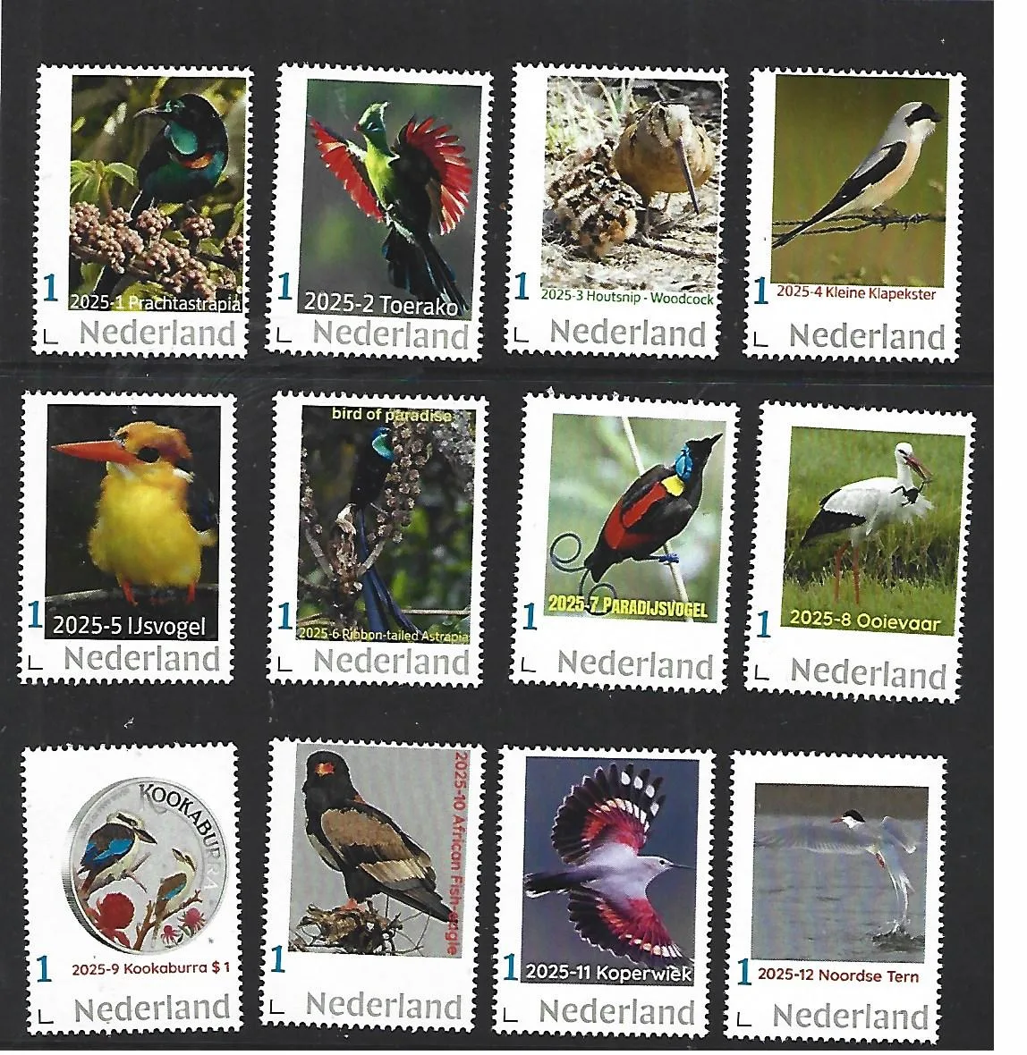 Netherlands 2025 Birds: Complete Yearset MNH
