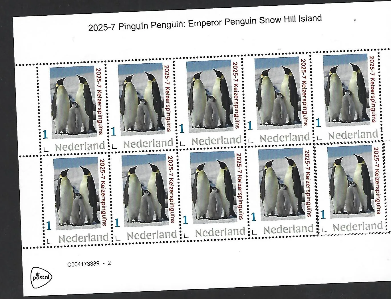 Netherlands 2025-7 Penguin: penguins SnowHill Island Antarctica sheet MNH