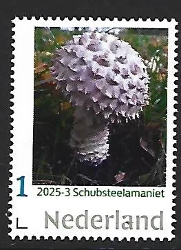 Netherlands 2025-3 Mushroom: Scaber Stalk MNH