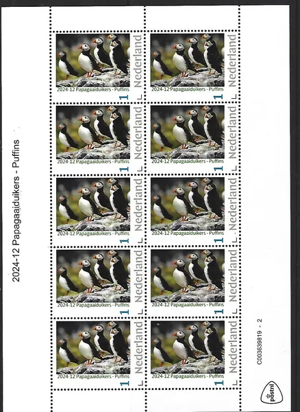 Nederland 2024-12 Papegaaiduiker Puffin sheetlet postfris/mnh