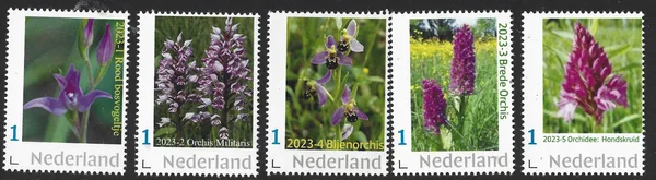 Netherlands 2023 Orchid Yearset MNH