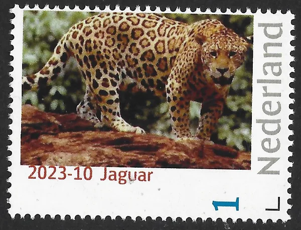 Netherlands 2023-10 Nature: Jaguar MNH