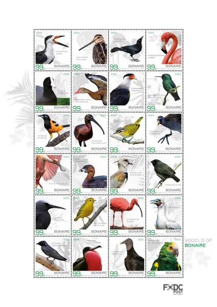 Bonaire 2023 Vogels birds oisseax vogel vel-sheetlet postfris/mnh