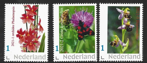 Netherlands 2021 Orchids yearset MNH
