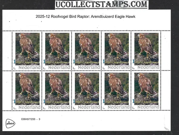 Nederland 2025-12 Bird roofvogel Raptor: Arendbuizers Eagle hawk sheetmnh