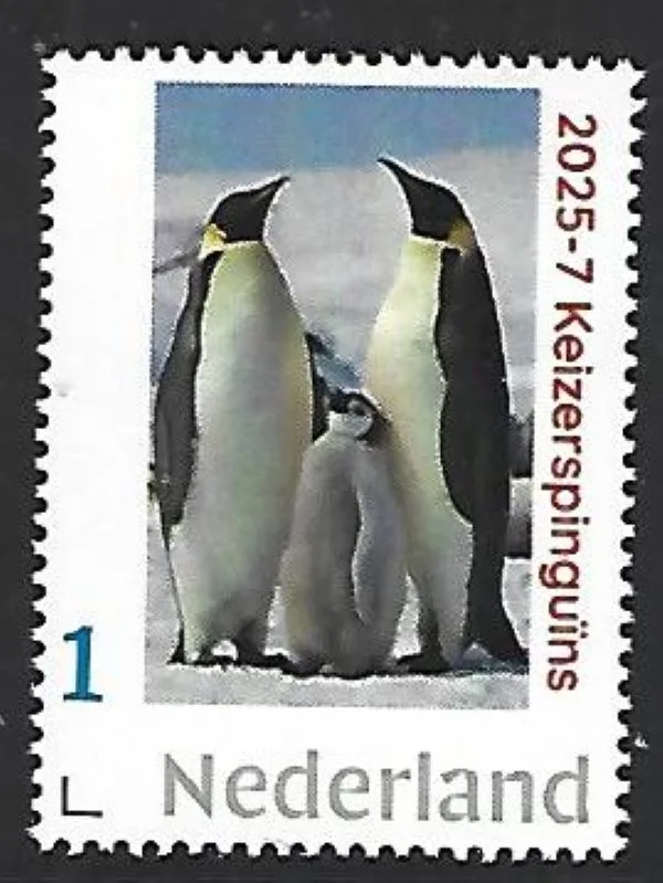 Nederland 2025-7 pinguins SnowHill Island Antarctica postfris/mnh