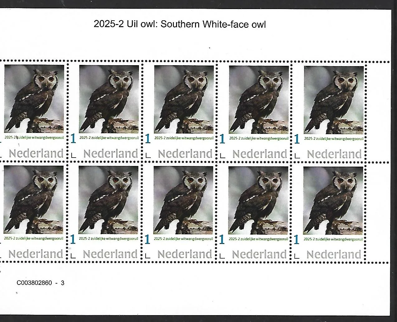 Nederland 2025-2 Uil Owl: Southern white faced owl sheetlet postfris/mnhent