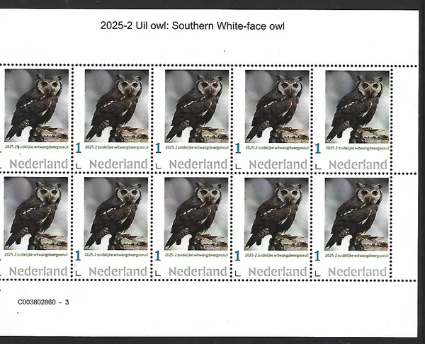 Netherlands 2025-2 Owl: Southern white faced owl sheetlet MNH