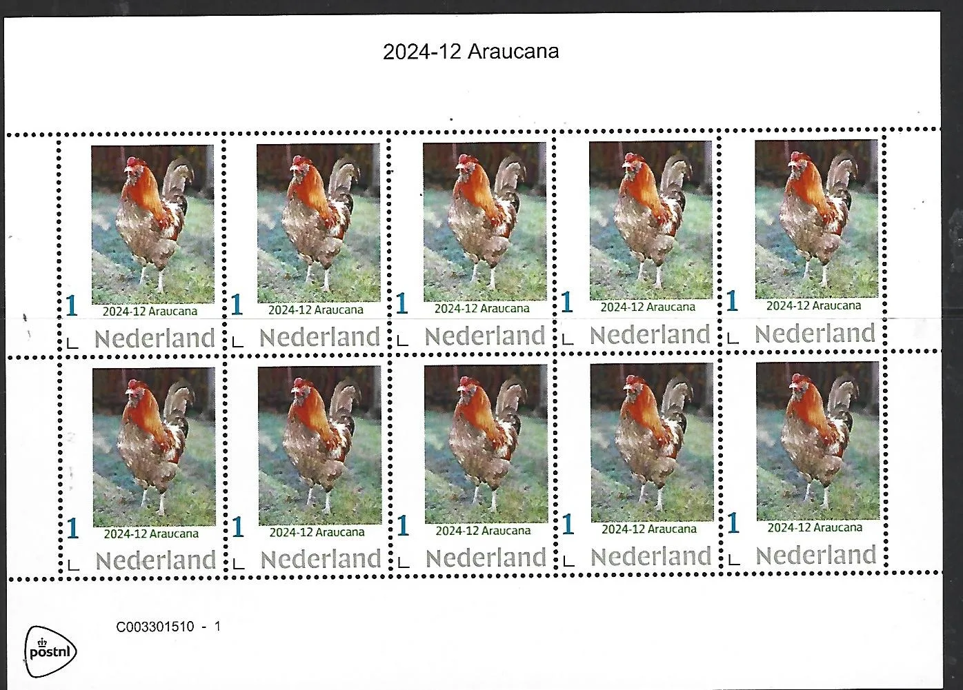 Pays-Bas 2024-12 Poule - Araucana bloc postfris/mnh