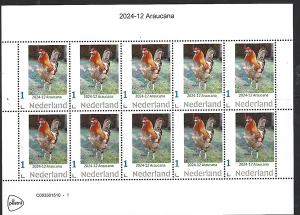 Nederland 2024-12 Kip -chicken: Araucana sheetlet postfris/mnh