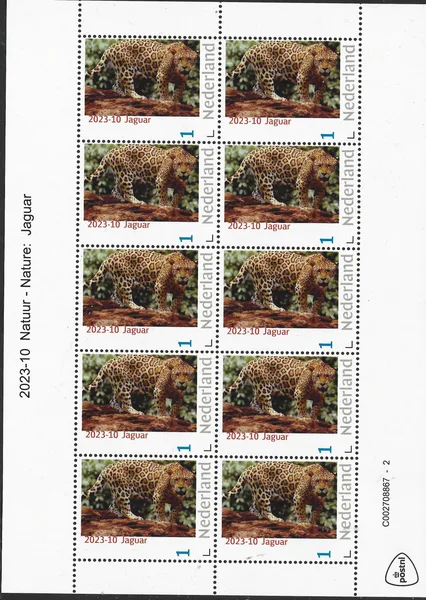 Netherlands 2023-10 Nature: Jaguar sheet MNH