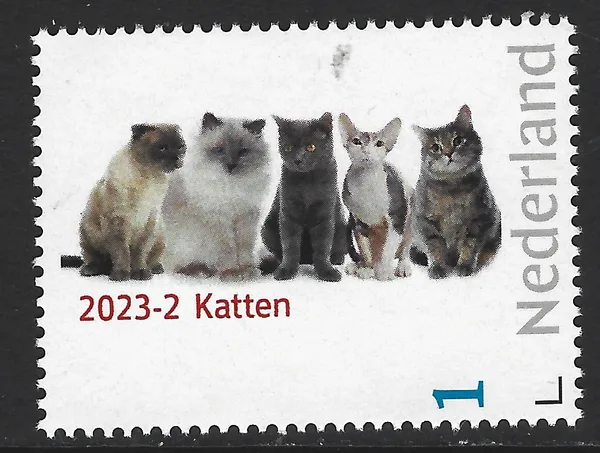 Nederland 2023-2 kat - cat - gatto - katze - chat postfris/mnh