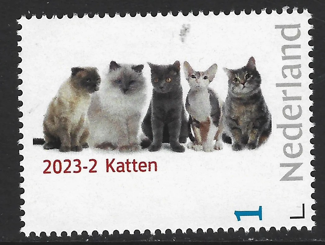 Niederlande 2023-2 Katze postfrisch/mnh