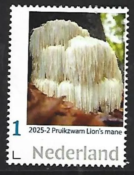 Nederland 2025-2 Paddenstoel mushroom: Pruikzwam postfris/mnh