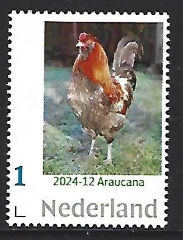 Pays-Bas 2024-12 Poule - Araucana neuf/MNH