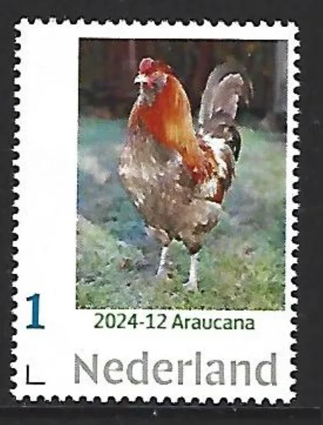 Netherlands 2024-12 Chicken, Araucana MNH