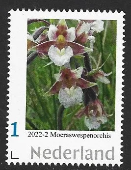 Niederlande 2022-2 Orchidee Sumpfwespenorchis postfrisch/ungebraucht