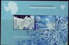 AAT 181-182 blok 3 International polar year blok/ms 2009 postfris