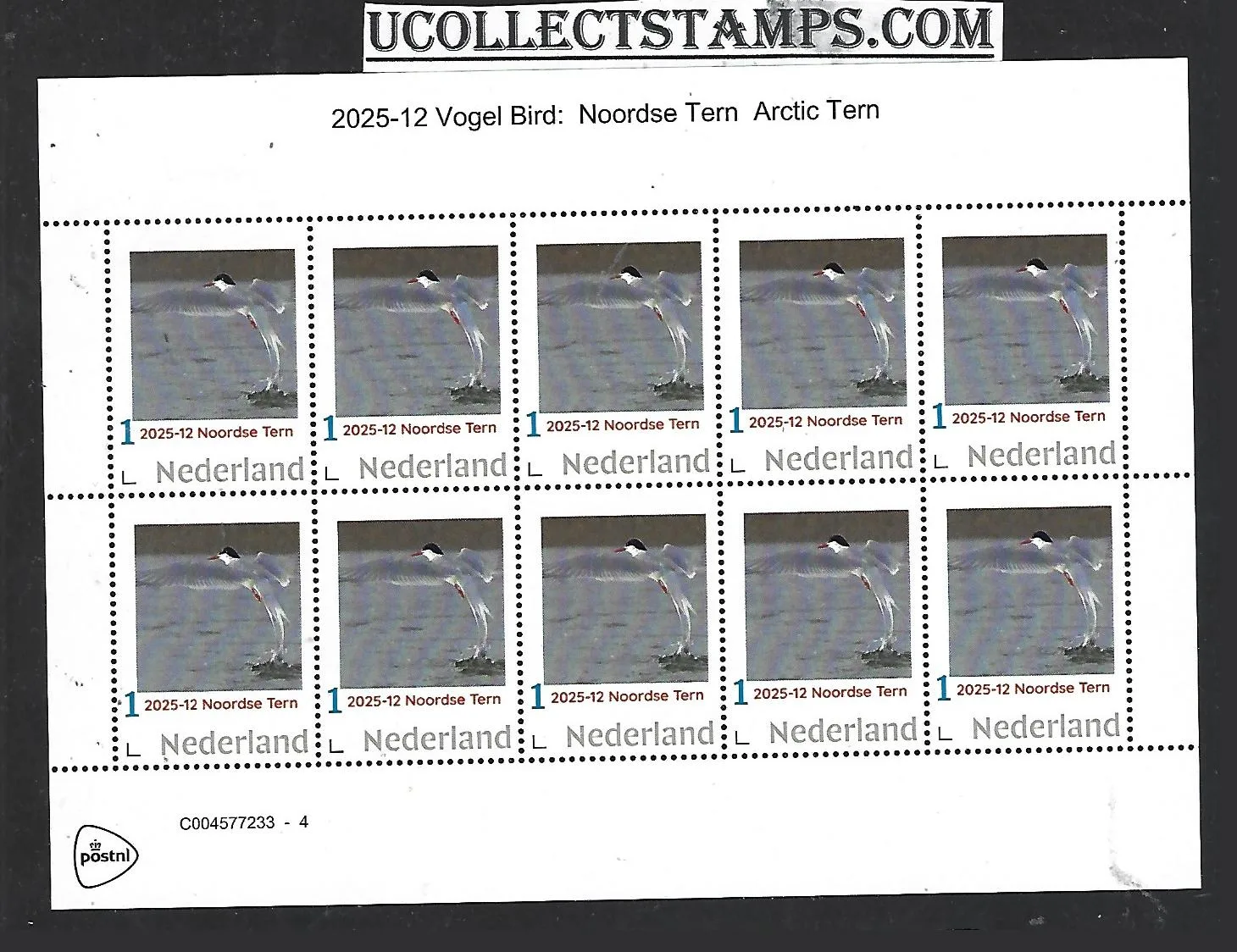 Netherlands 2025-12 Bird: Arctic Tern sheetlet MNH