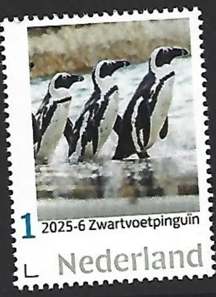 Netherlands 2025-6 Penguin: Black-footed Penguin MNH